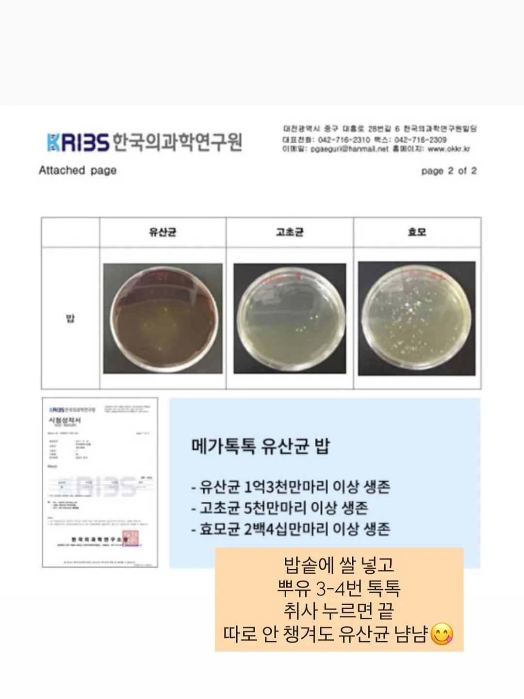 스투시 자수 후드 베스트 6