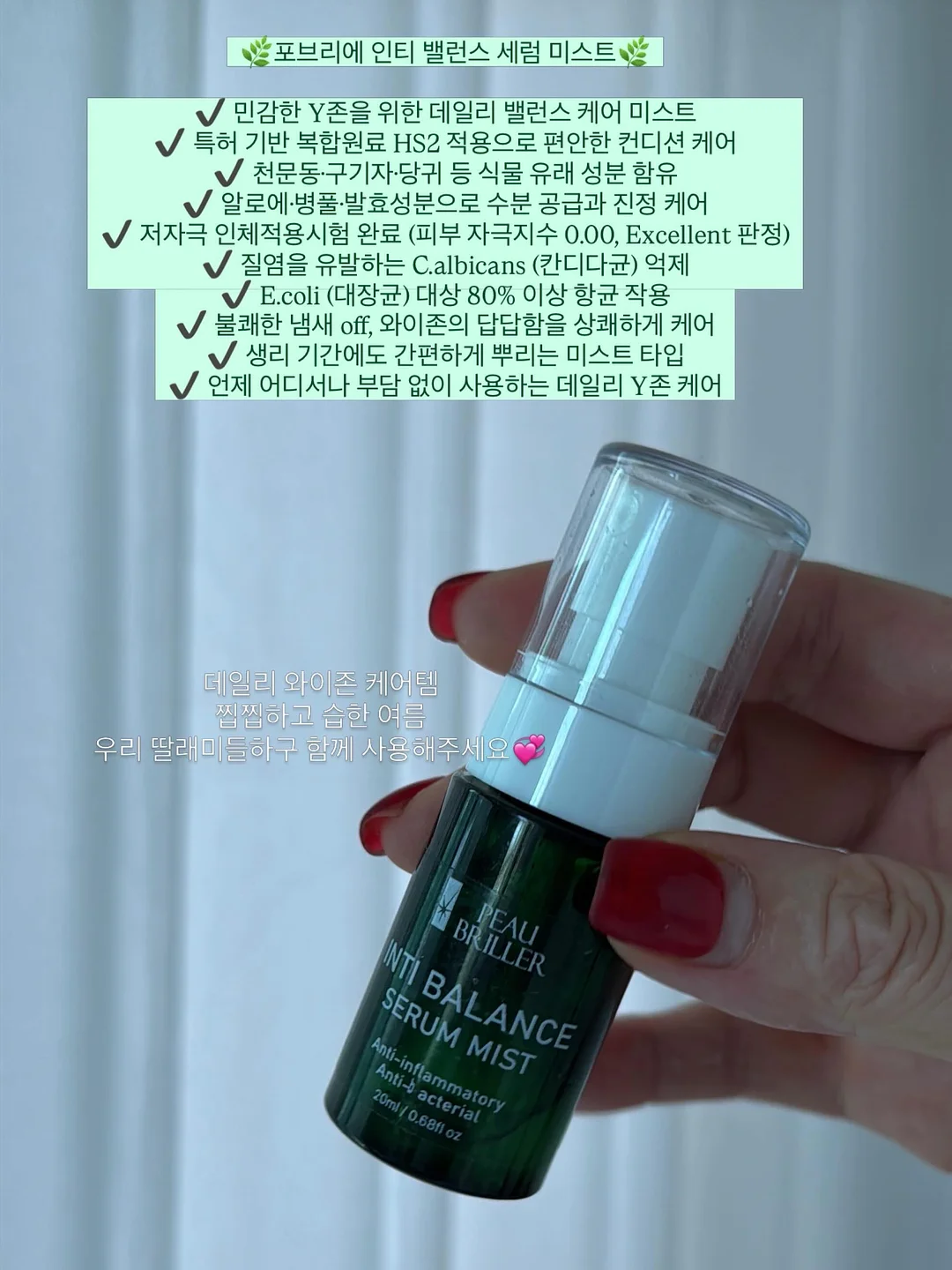 자수 디테일 스커트 3