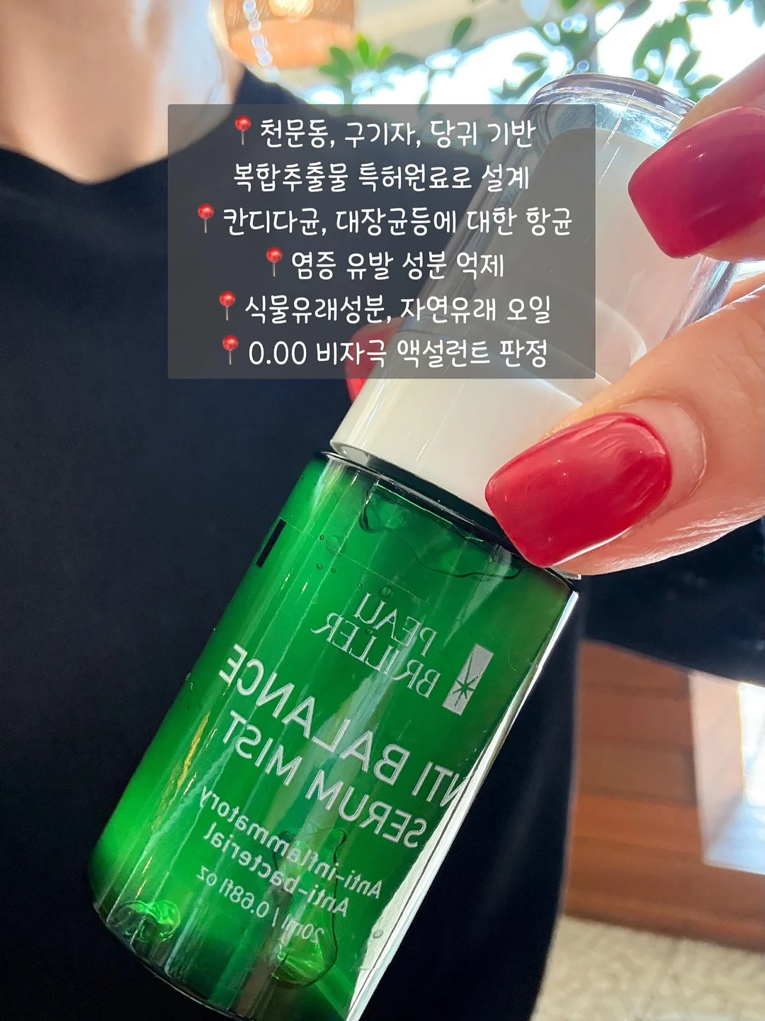 자수 디테일 스커트 4
