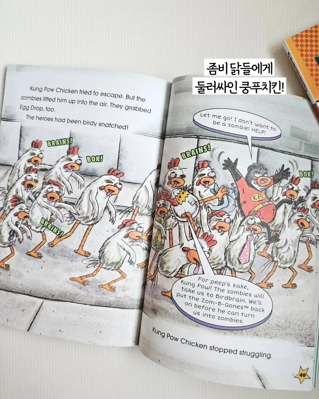 캔쿨러 13