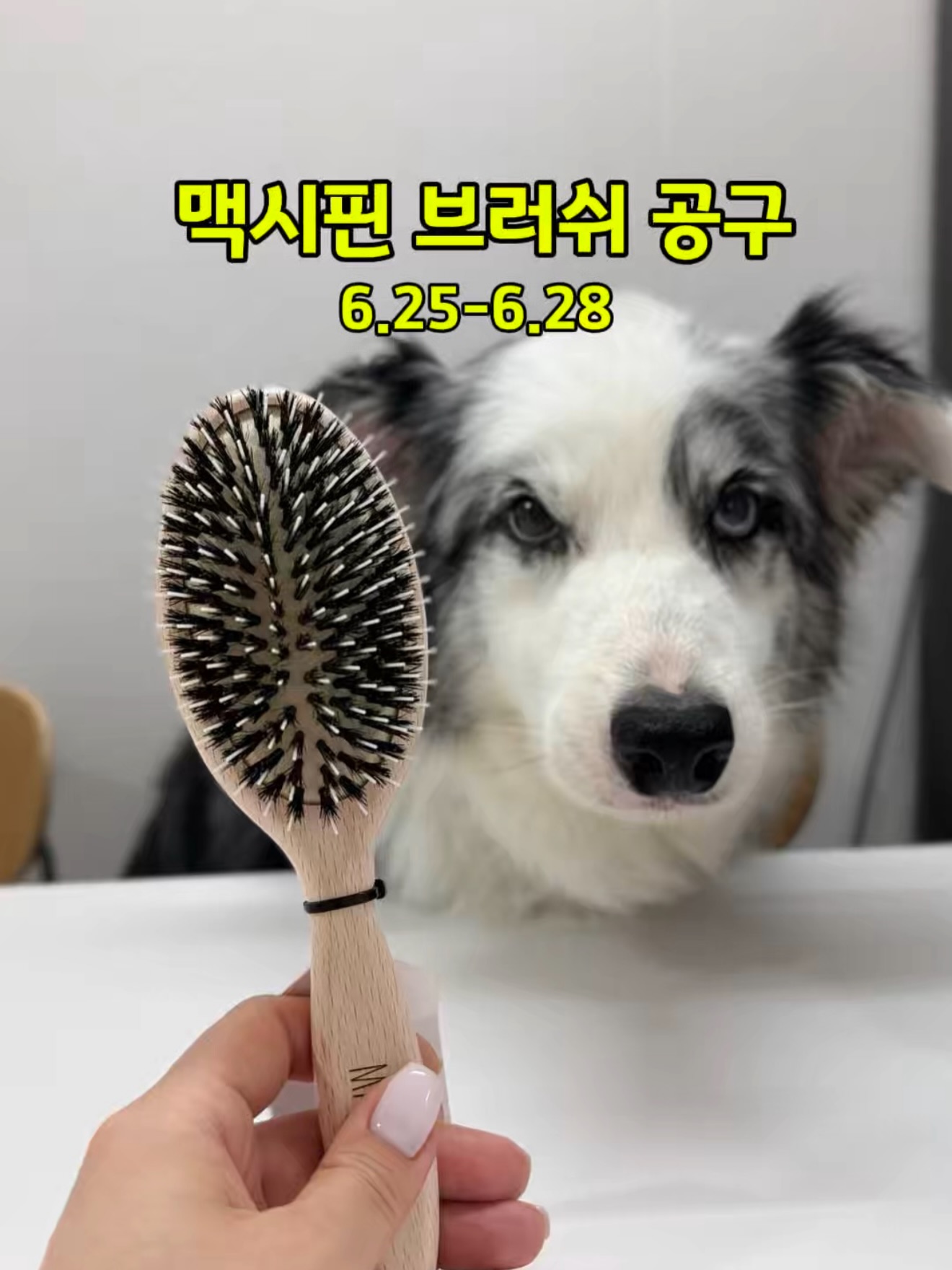 뮤지컬 <앤ANNE: 배리어프리> 1