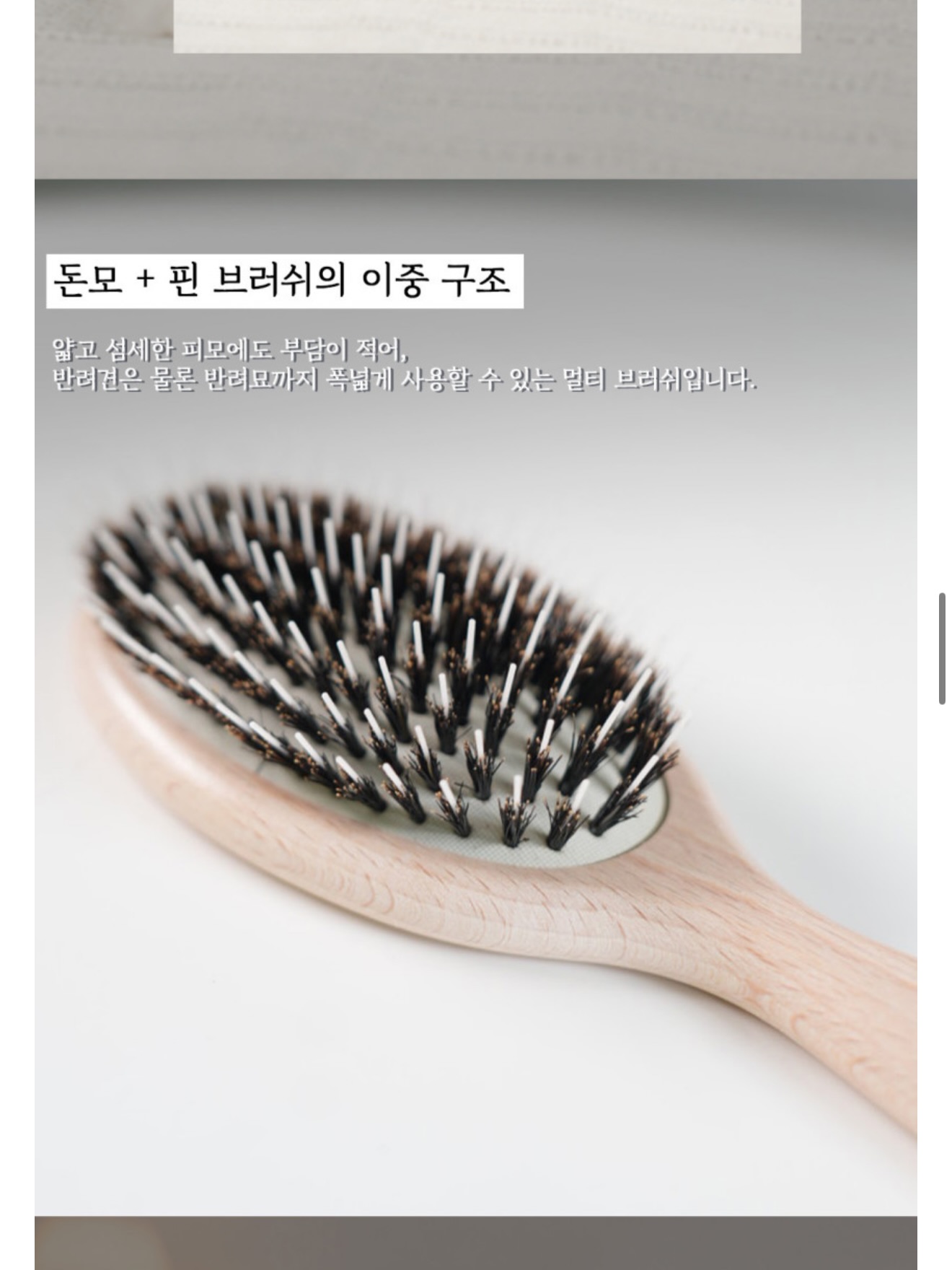 뮤지컬 <앤ANNE: 배리어프리> 11