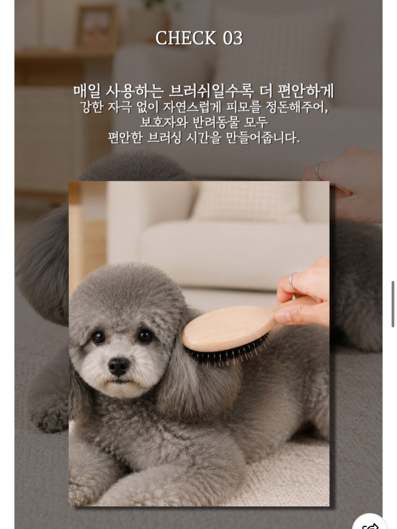 뮤지컬 <앤ANNE: 배리어프리> 12
