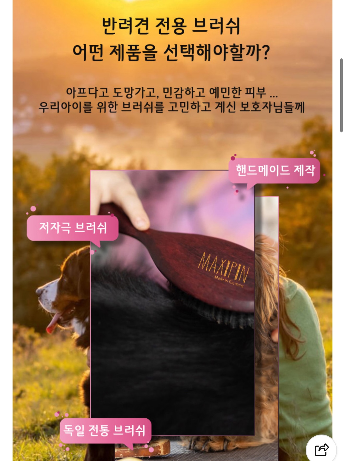 뮤지컬 <앤ANNE: 배리어프리> 4