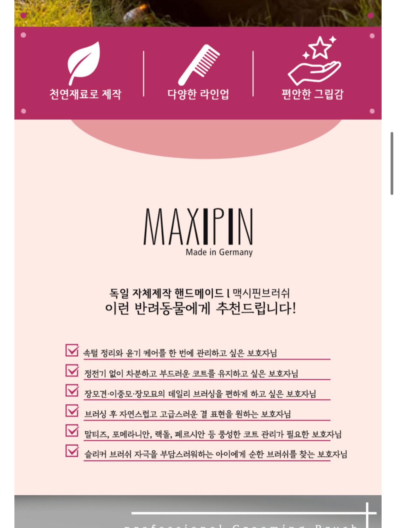 뮤지컬 <앤ANNE: 배리어프리> 5