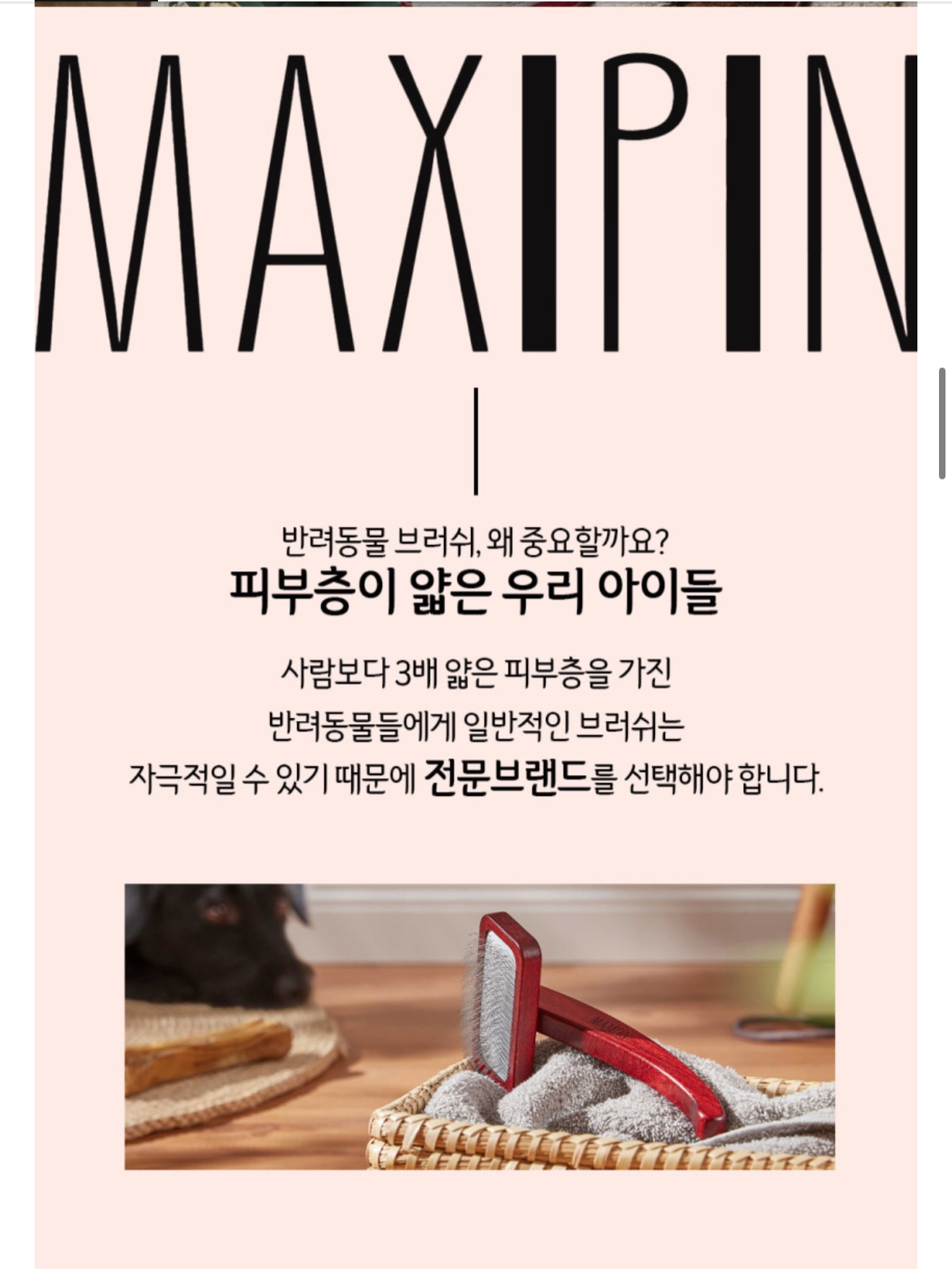 뮤지컬 <앤ANNE: 배리어프리> 7