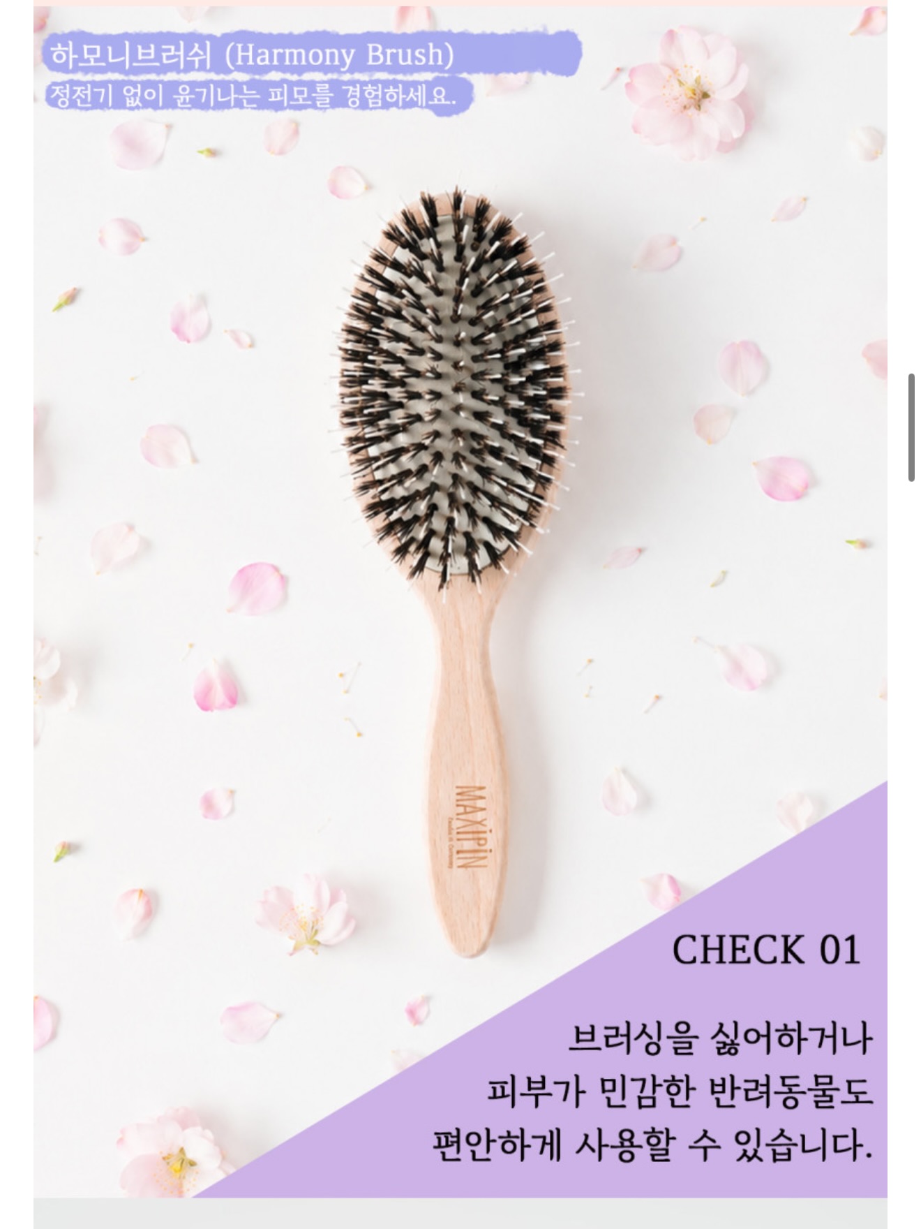 뮤지컬 <앤ANNE: 배리어프리> 8