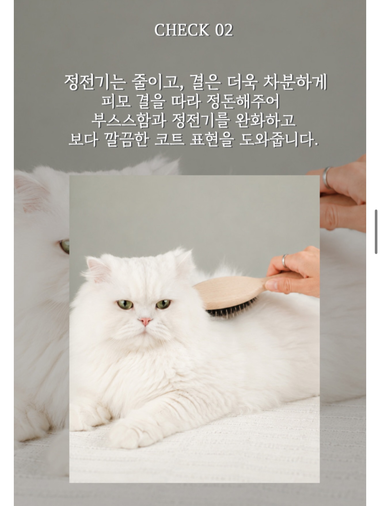 뮤지컬 <앤ANNE: 배리어프리> 10