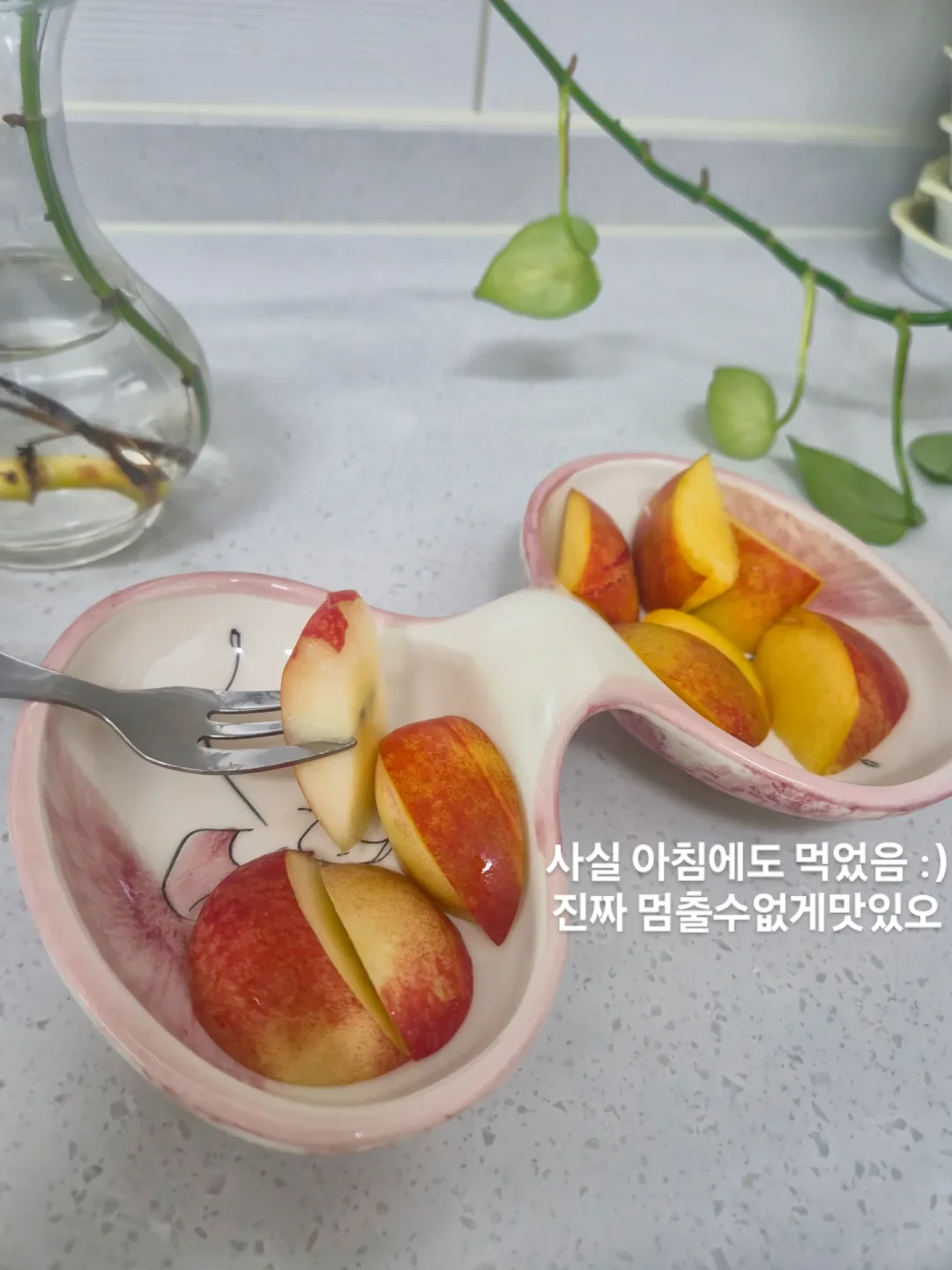드라이기 4