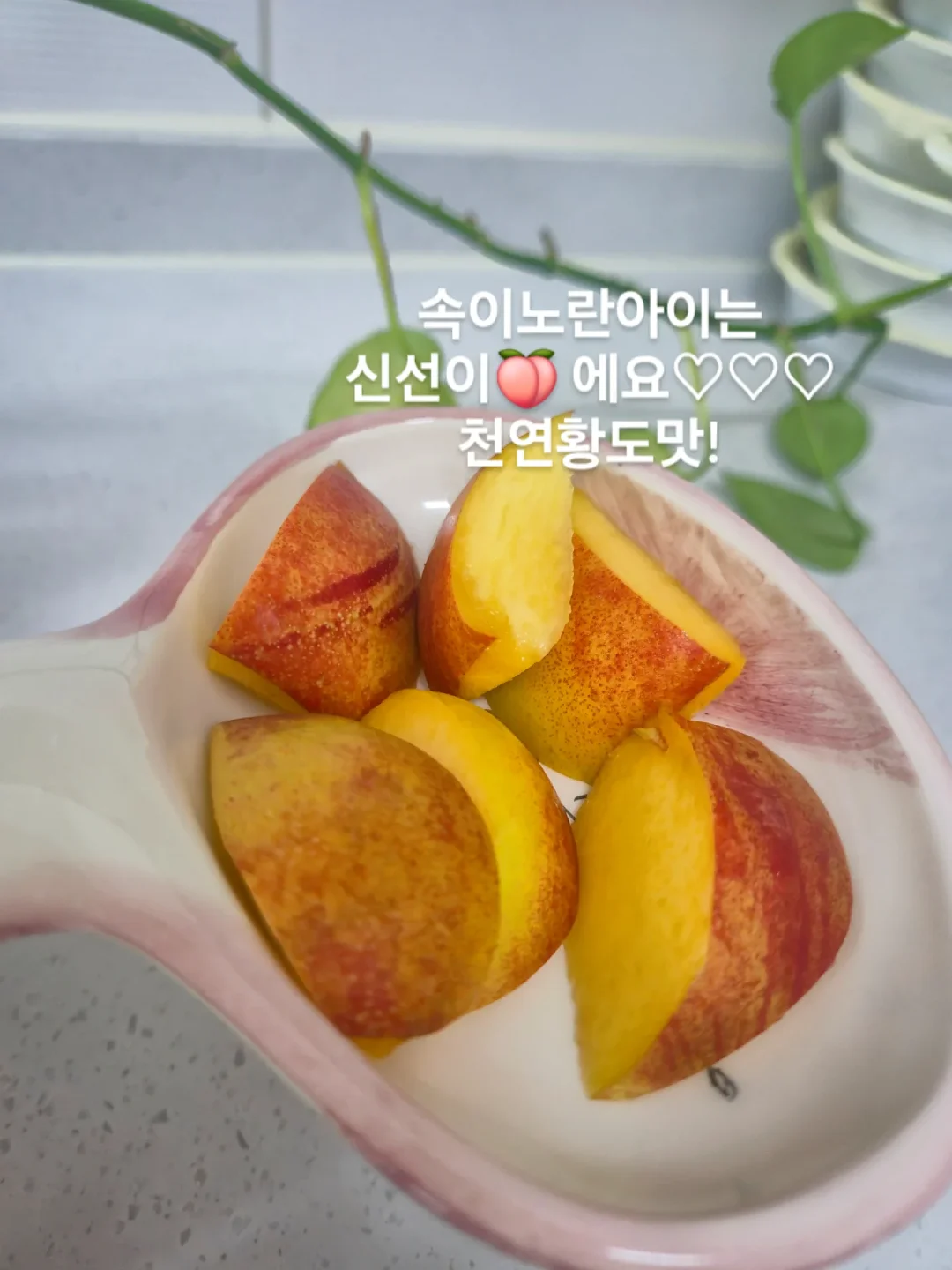드라이기 5