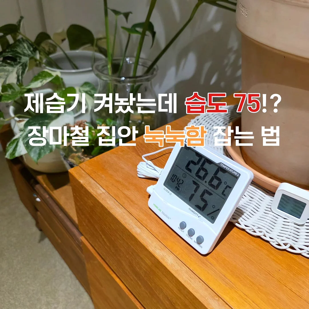 100돈 팔찌 1
