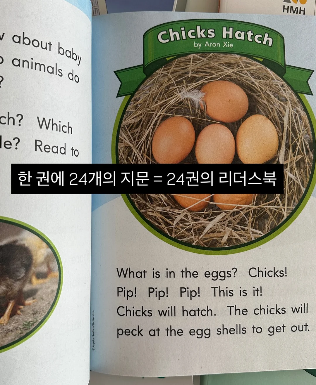 막스벤자민 캔들 8