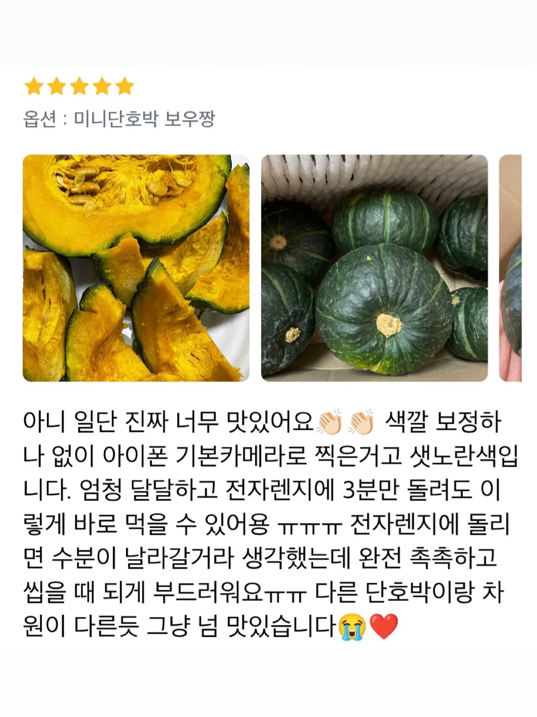 비비드아이 겨울 신상 컬렉션 11