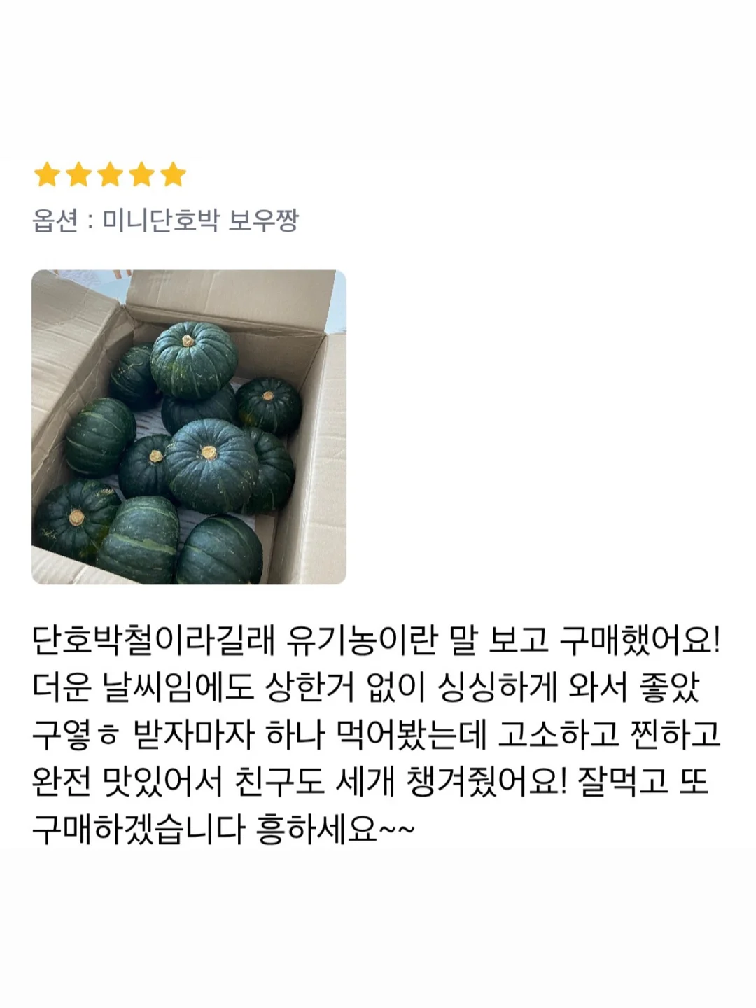 비비드아이 겨울 신상 컬렉션 12