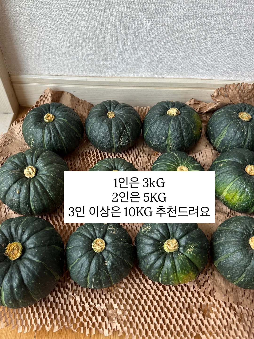 비비드아이 겨울 신상 컬렉션 4