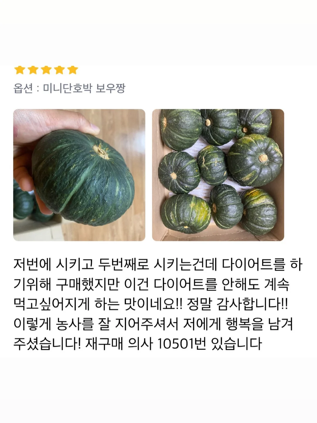 비비드아이 겨울 신상 컬렉션 7