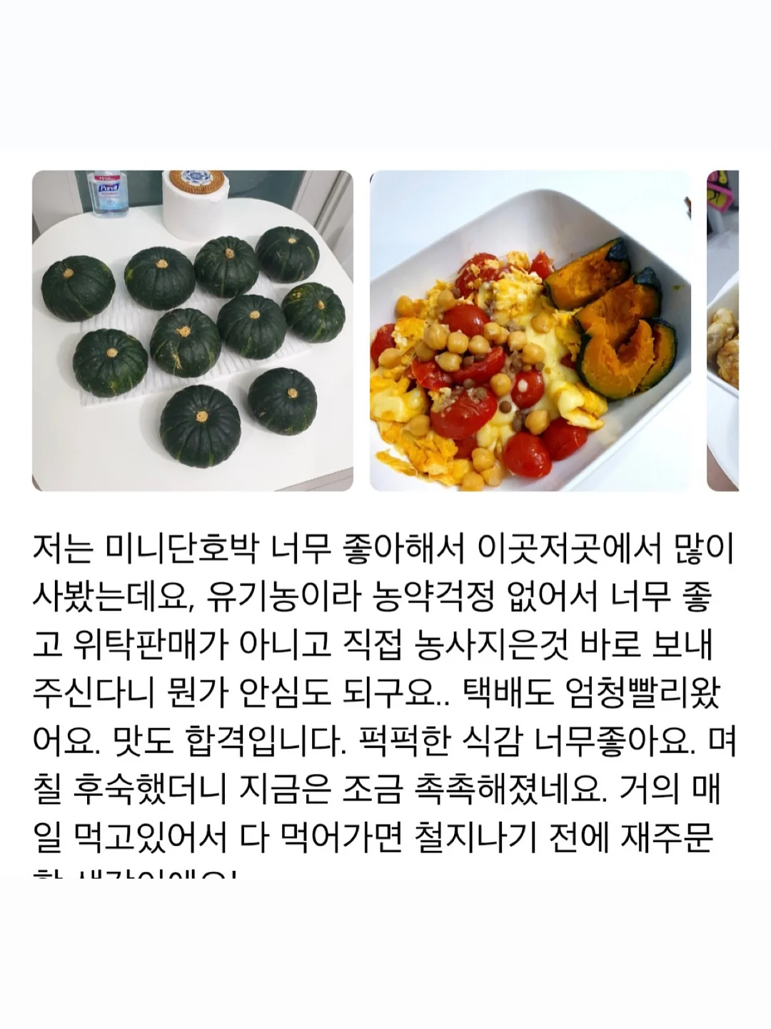 비비드아이 겨울 신상 컬렉션 10