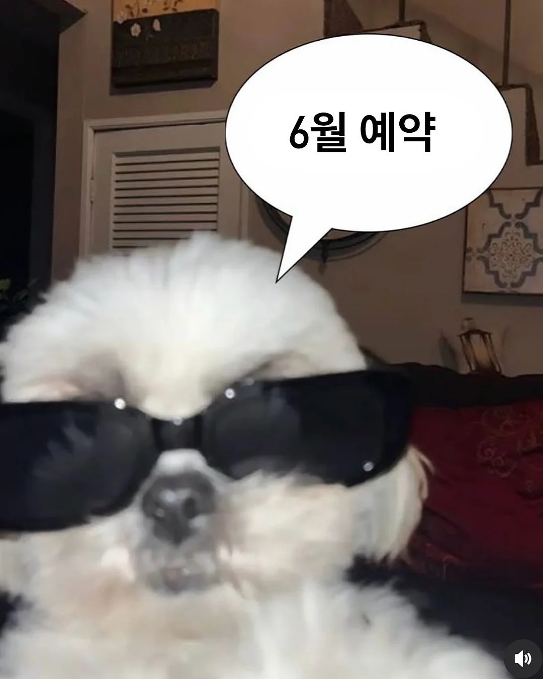 영어 일기 초급 vs 중급 버전 1