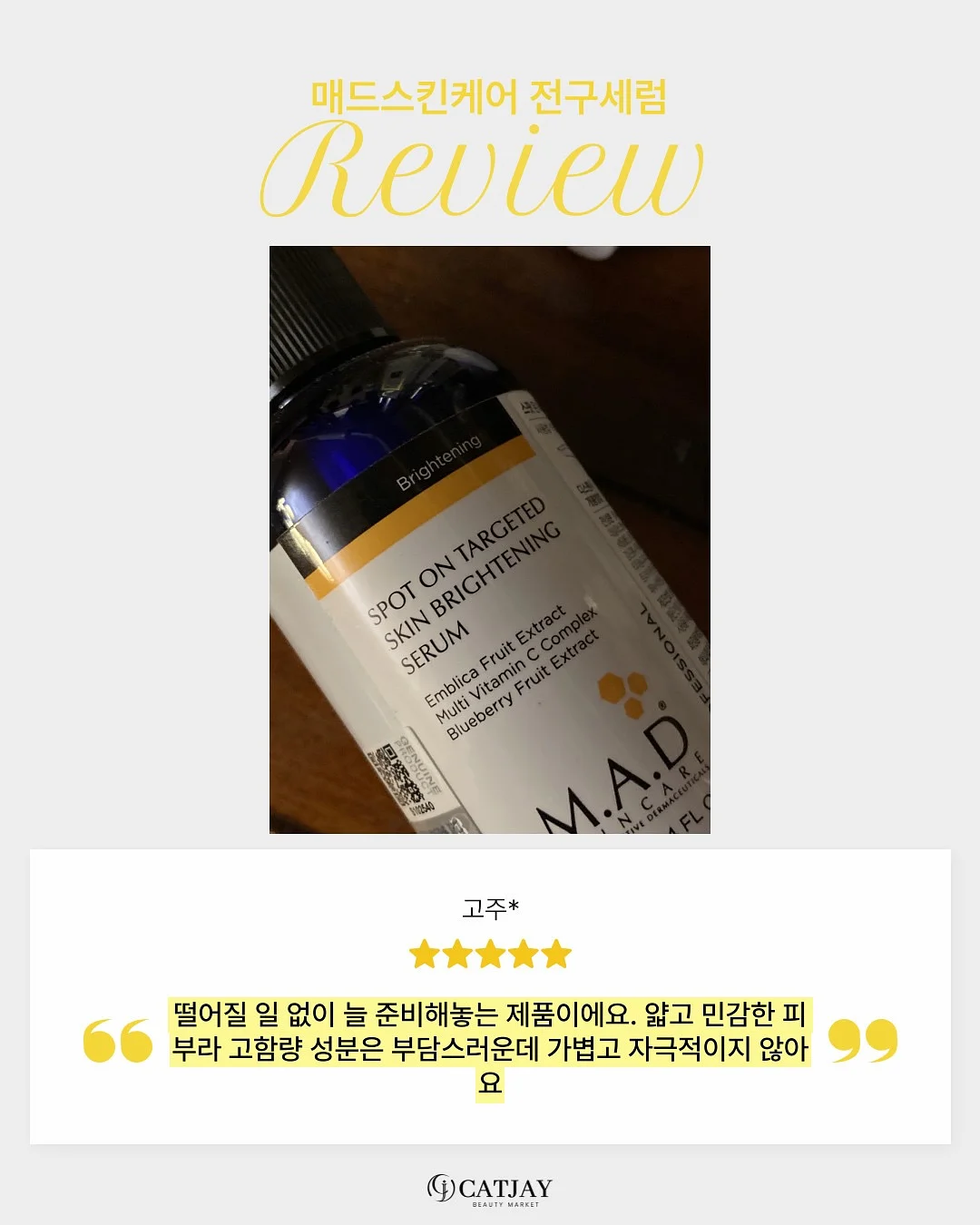 사자발고사리 14