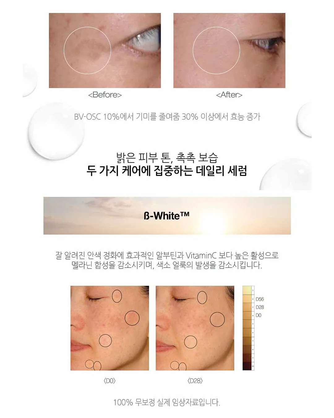 사자발고사리 3