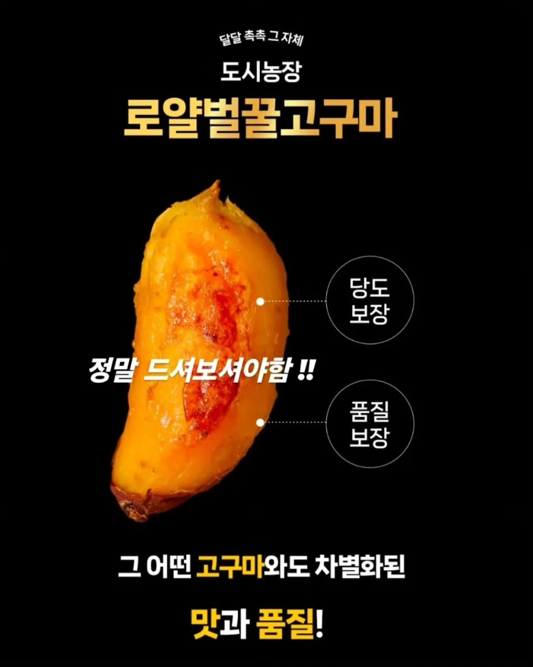 수도권 청약 6