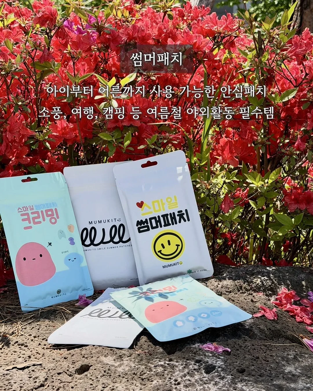 진공포장기 4