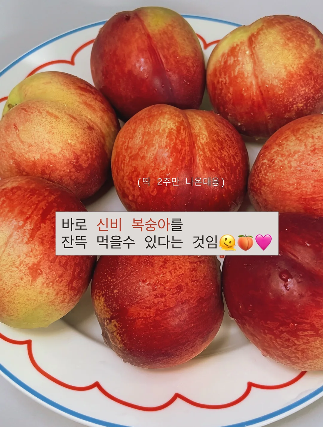 이다한옥 앰배서더 멤버십 2