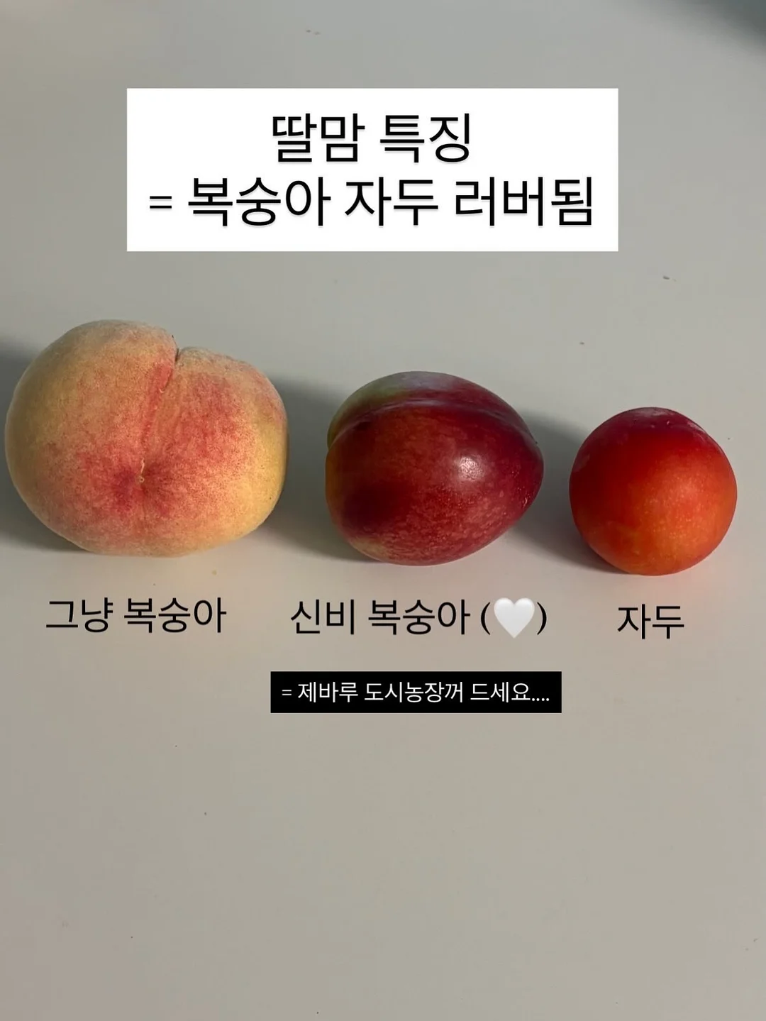 이다한옥 앰배서더 멤버십 3