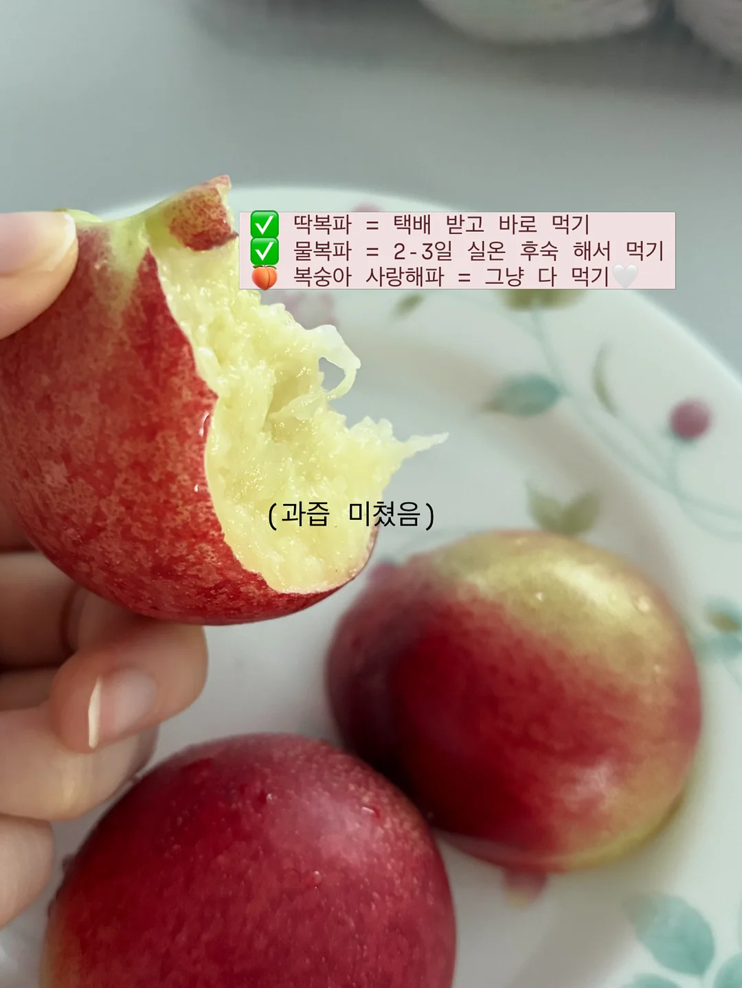 이다한옥 앰배서더 멤버십 5