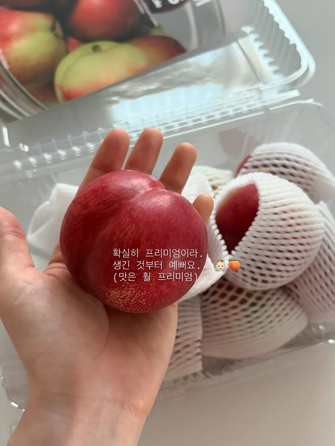 이다한옥 앰배서더 멤버십 6