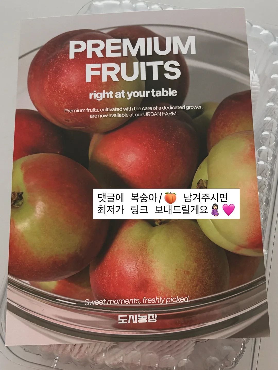 이다한옥 앰배서더 멤버십 7