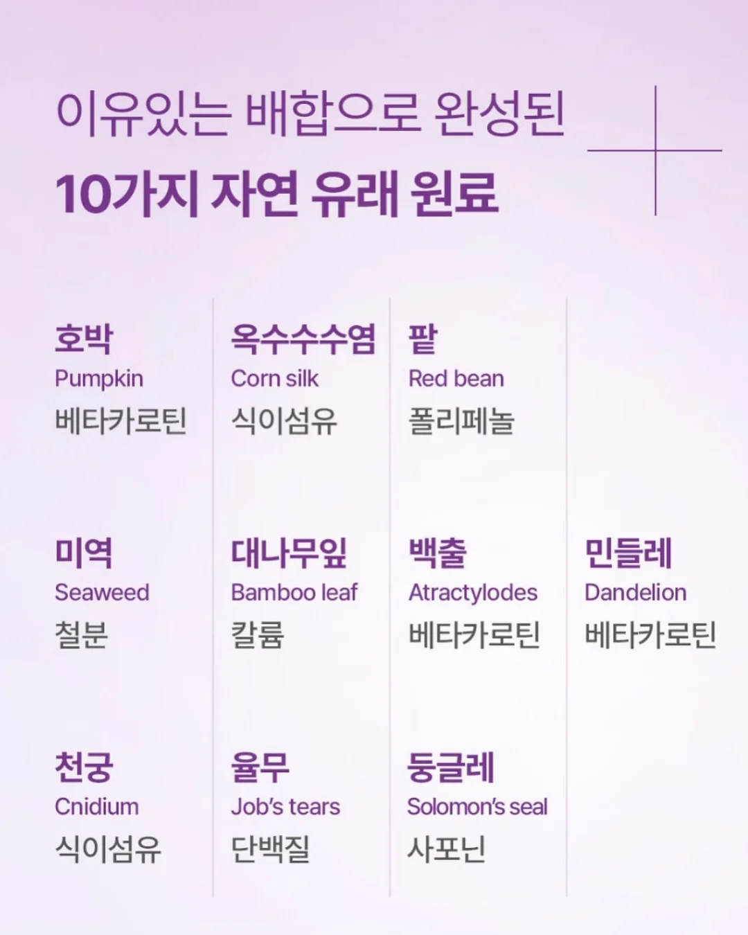 스프링 보트넥니트 11