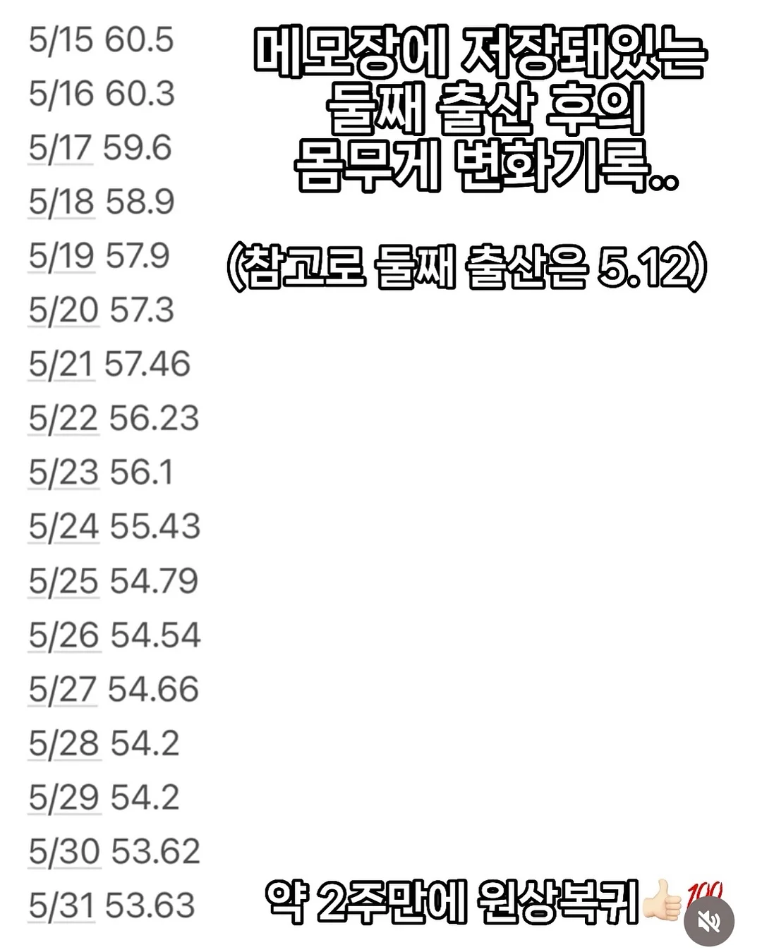스프링 보트넥니트 4
