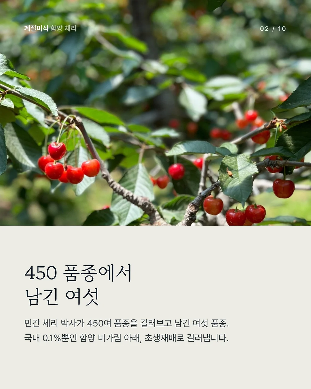 삶은 계란 과일 플레이터 2