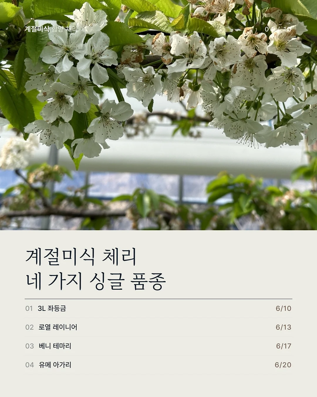 삶은 계란 과일 플레이터 4