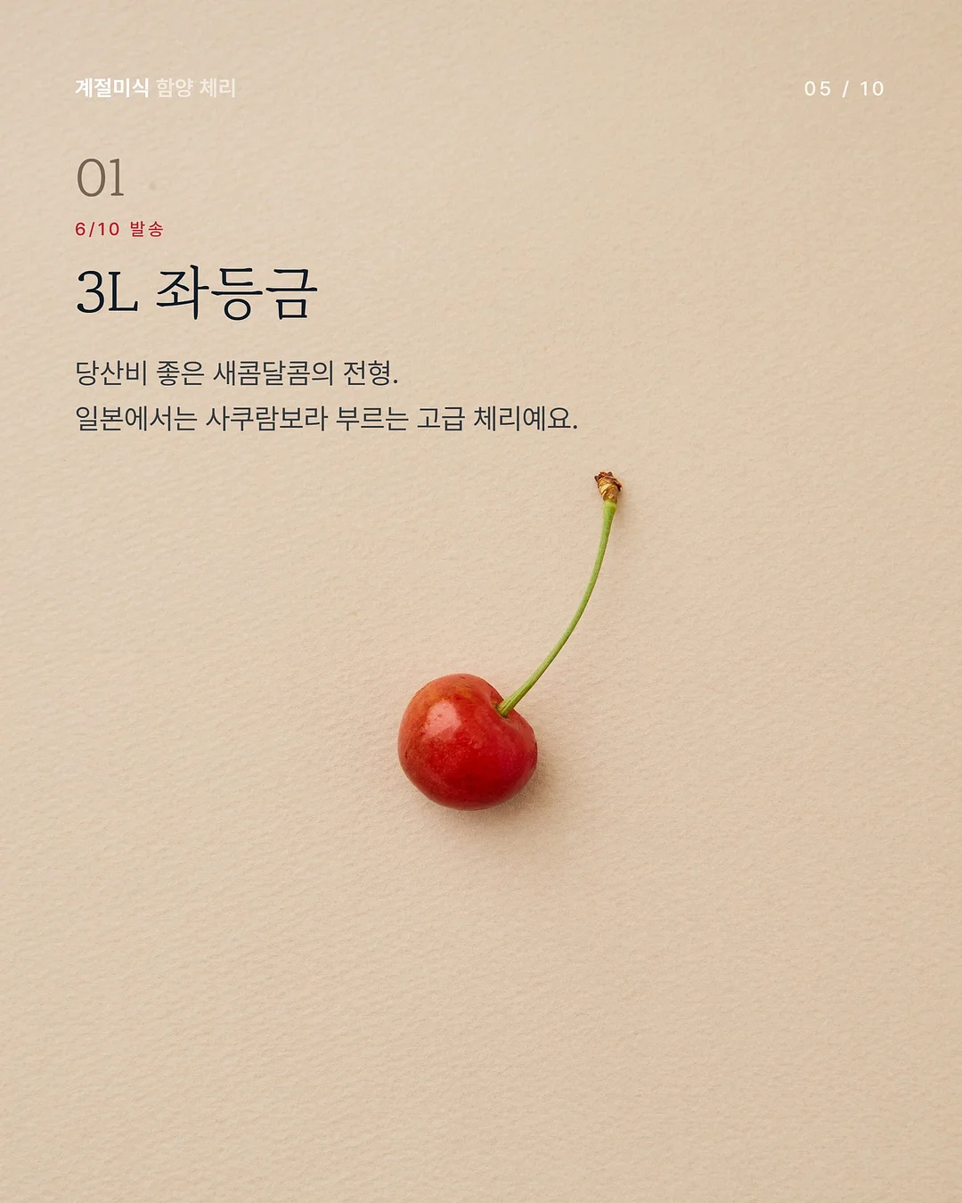 삶은 계란 과일 플레이터 5