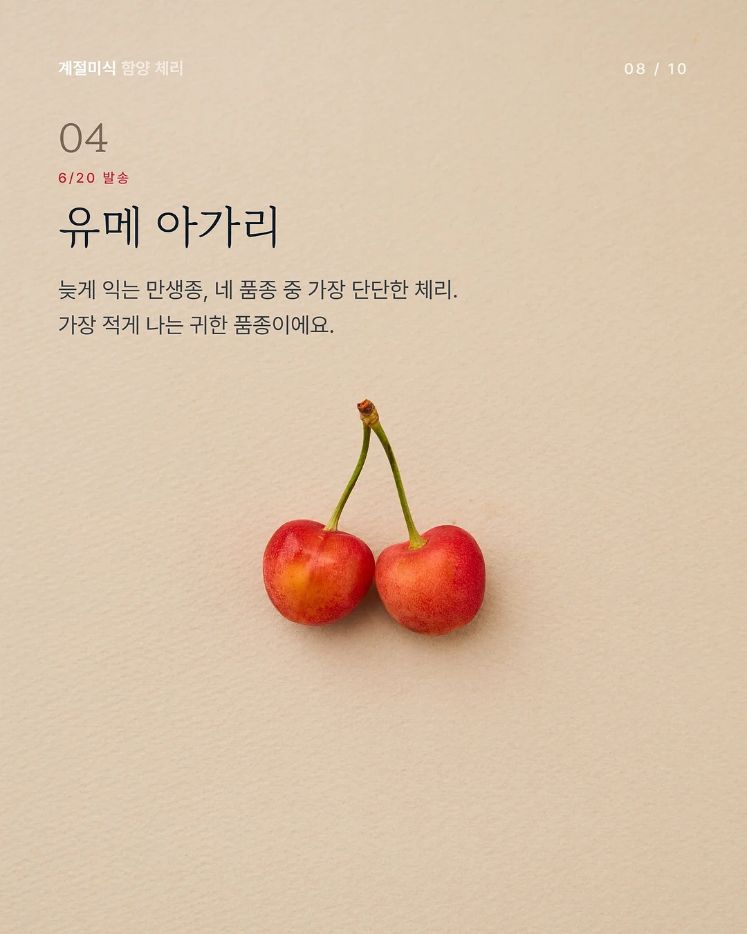 삶은 계란 과일 플레이터 8