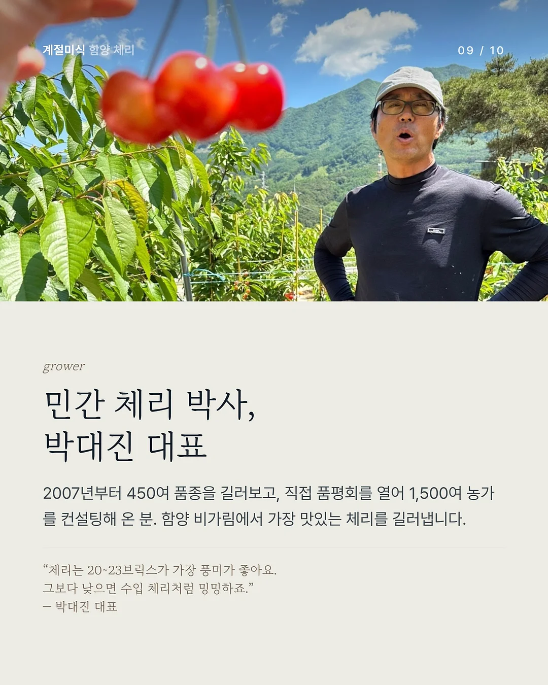 삶은 계란 과일 플레이터 9
