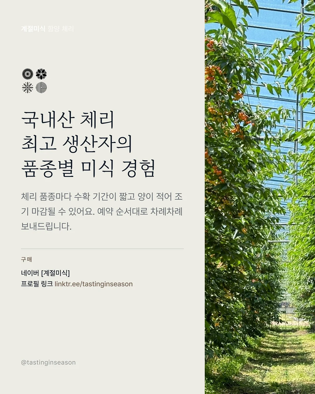 삶은 계란 과일 플레이터 10
