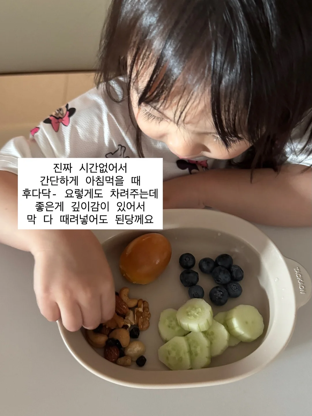 쉽제스 썬키스드 11