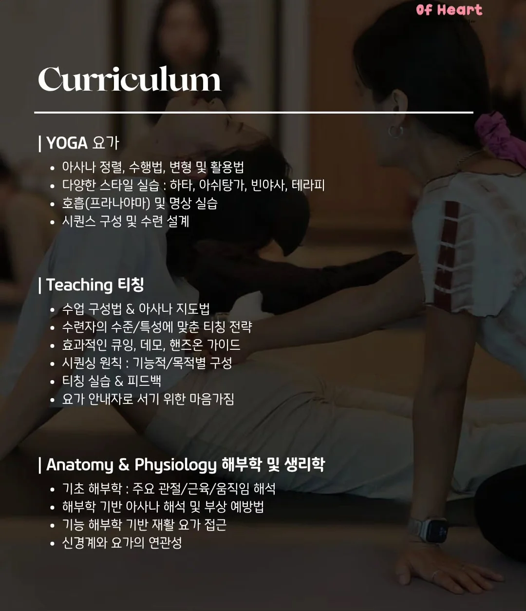 포몽드 냉감 블랭킷 4