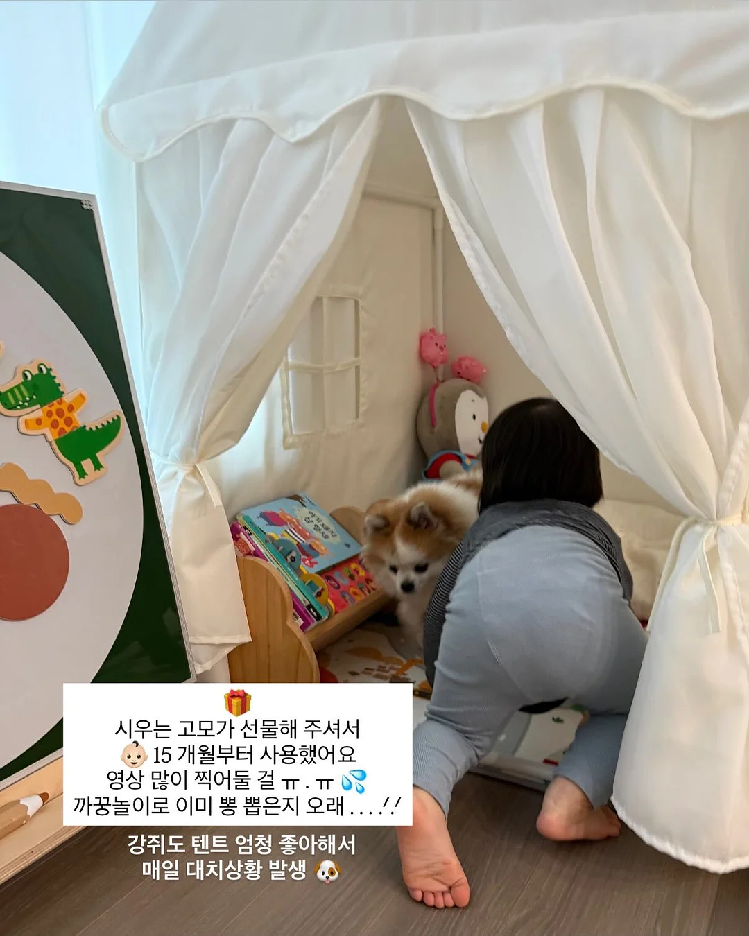 퓨어팟 모자 관리기 4