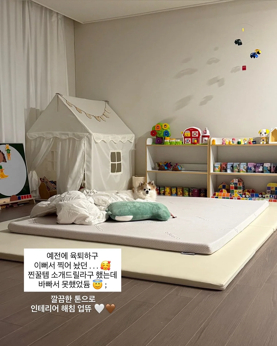 퓨어팟 모자 관리기 5