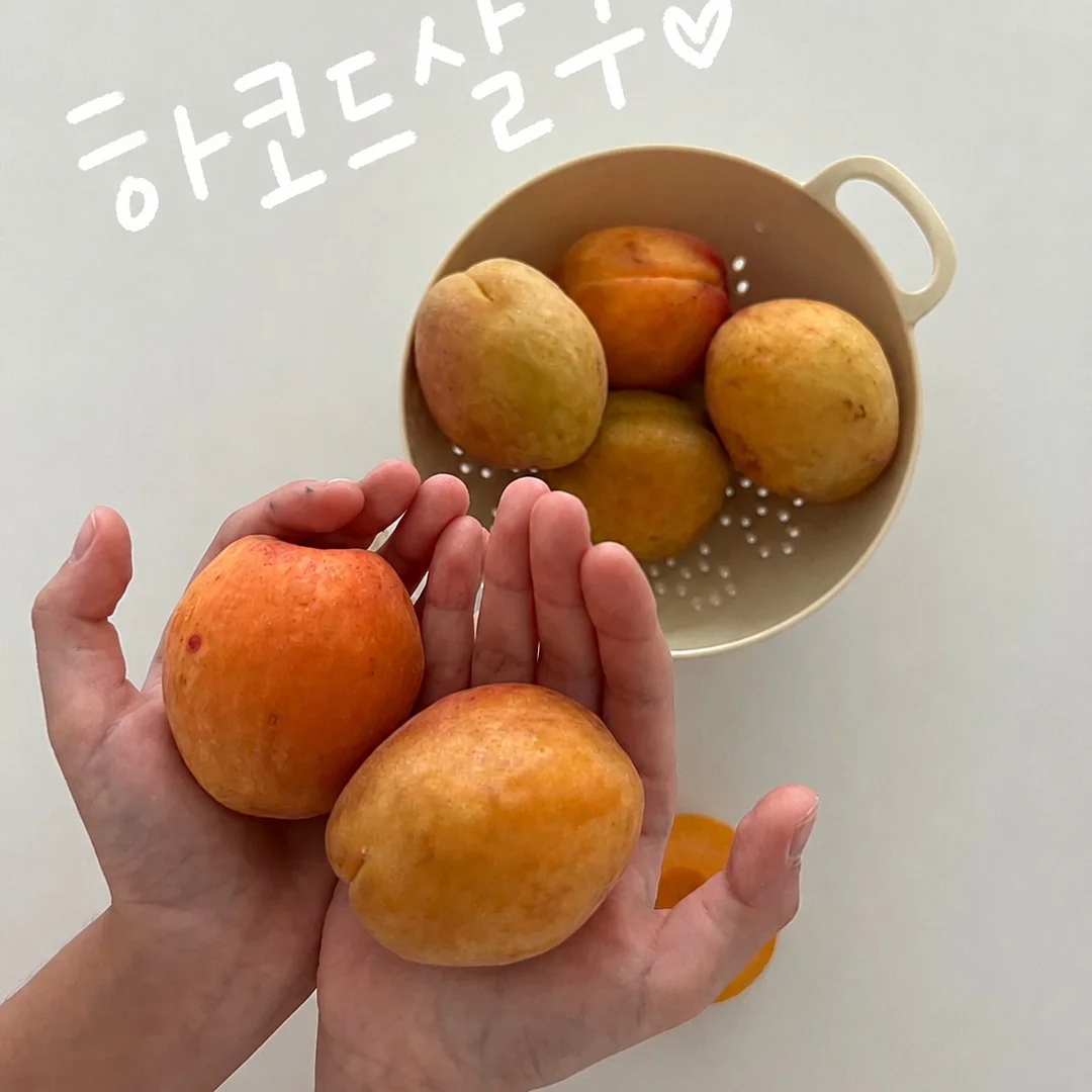 미국 초등 3학년 Retelling 1
