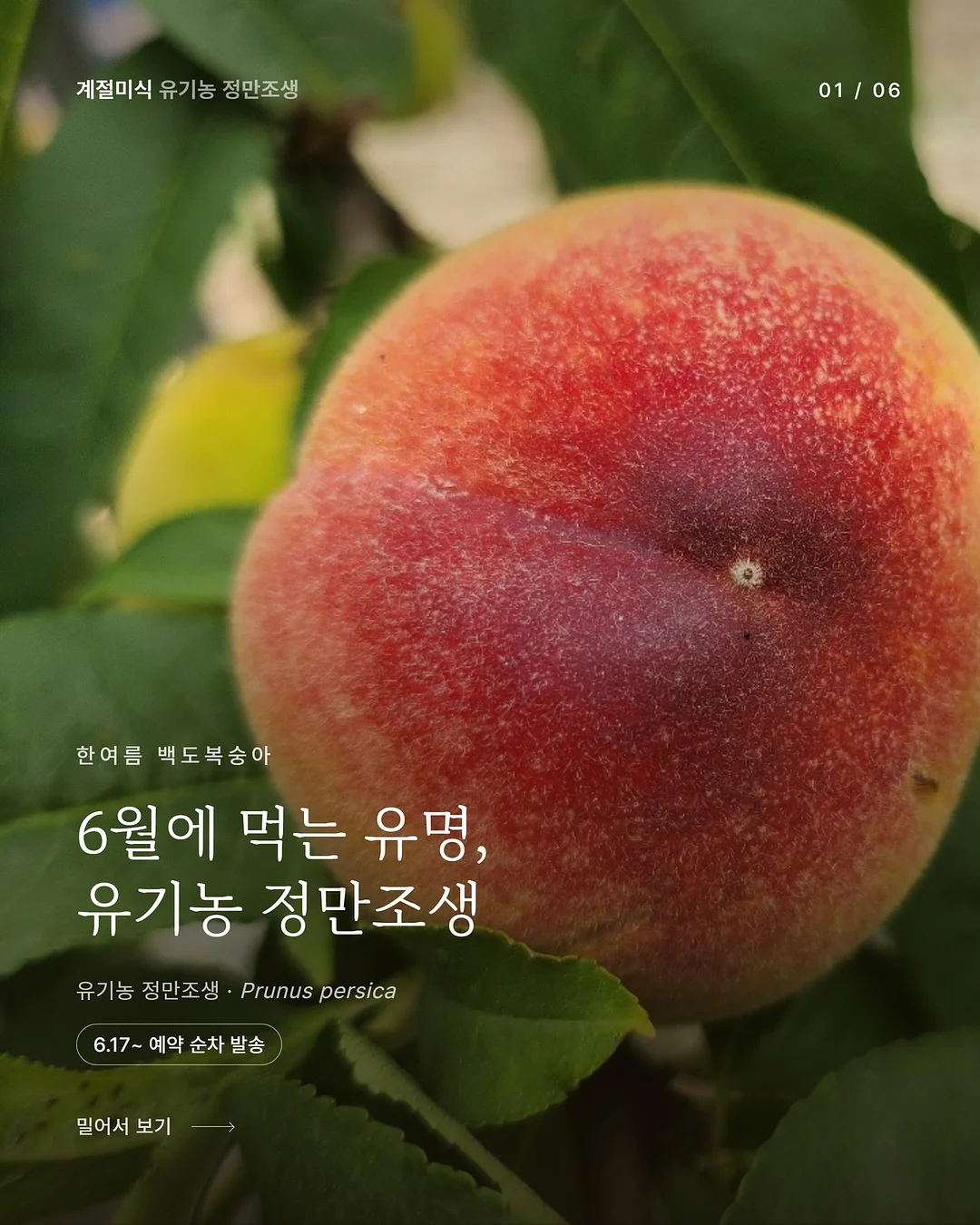 레비온 수분선크림 1