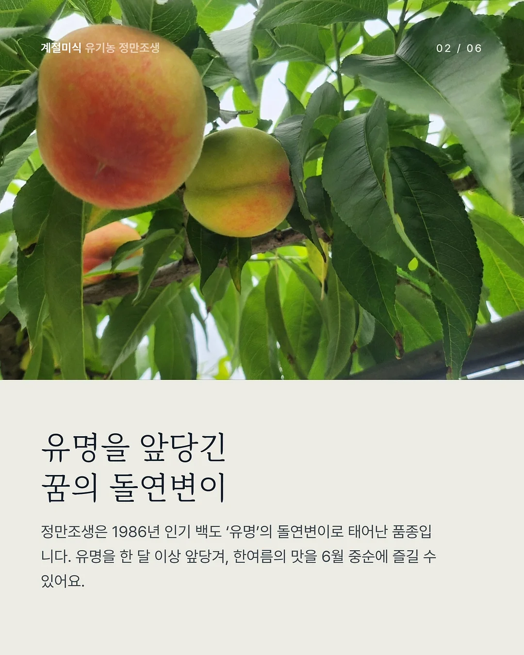 레비온 수분선크림 2