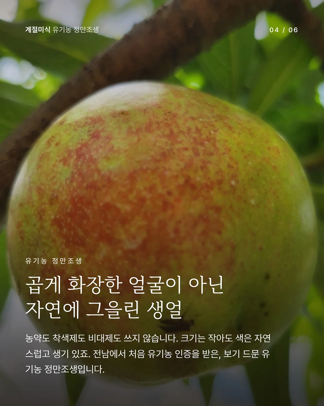 레비온 수분선크림 4