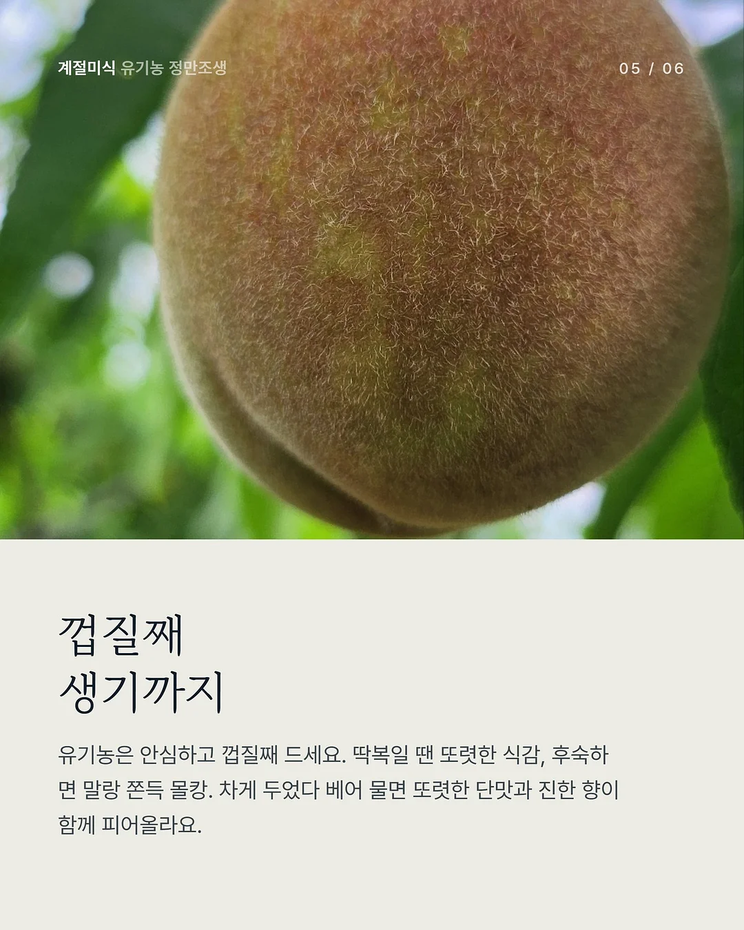 레비온 수분선크림 5