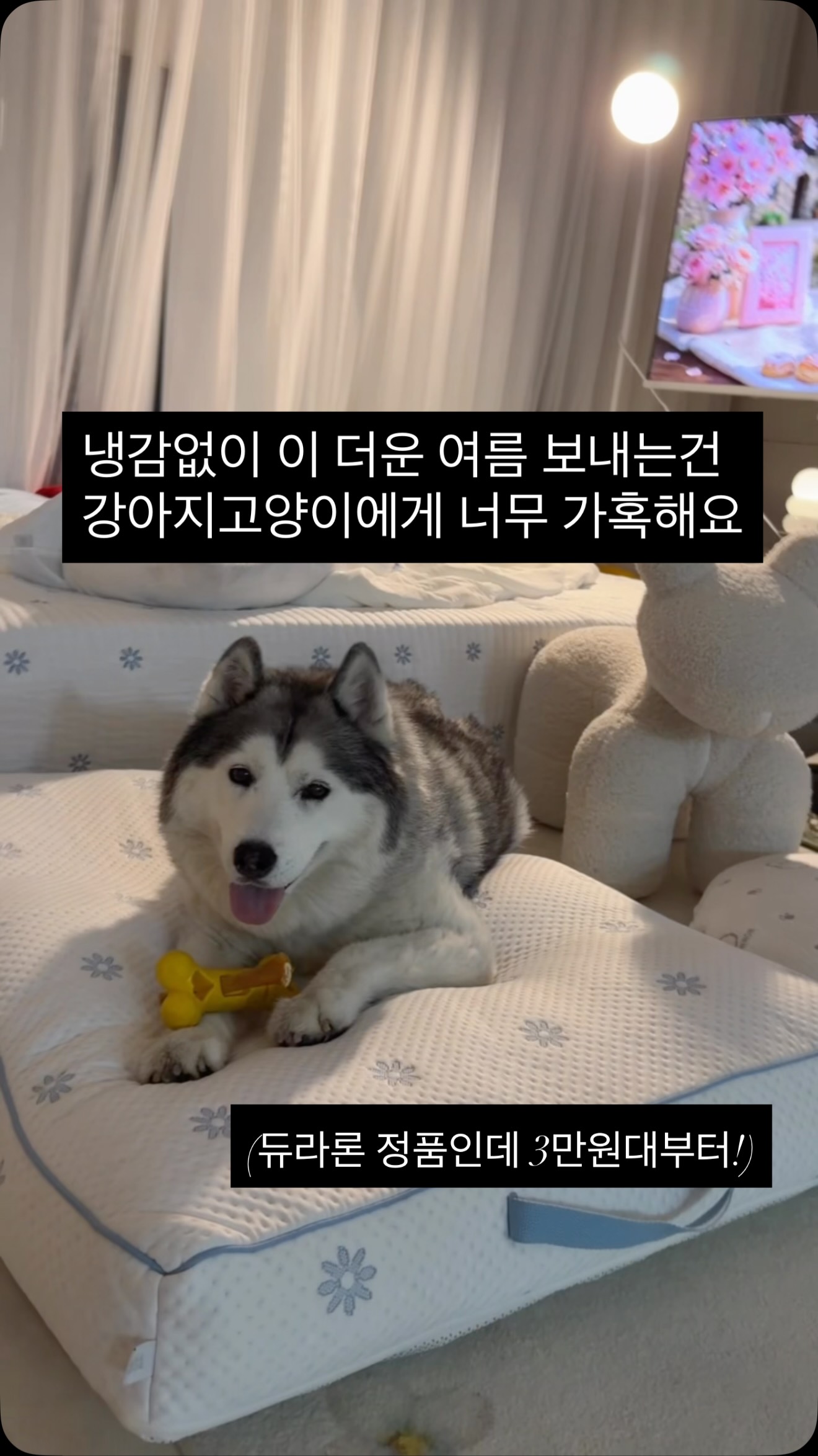 실사물 수업