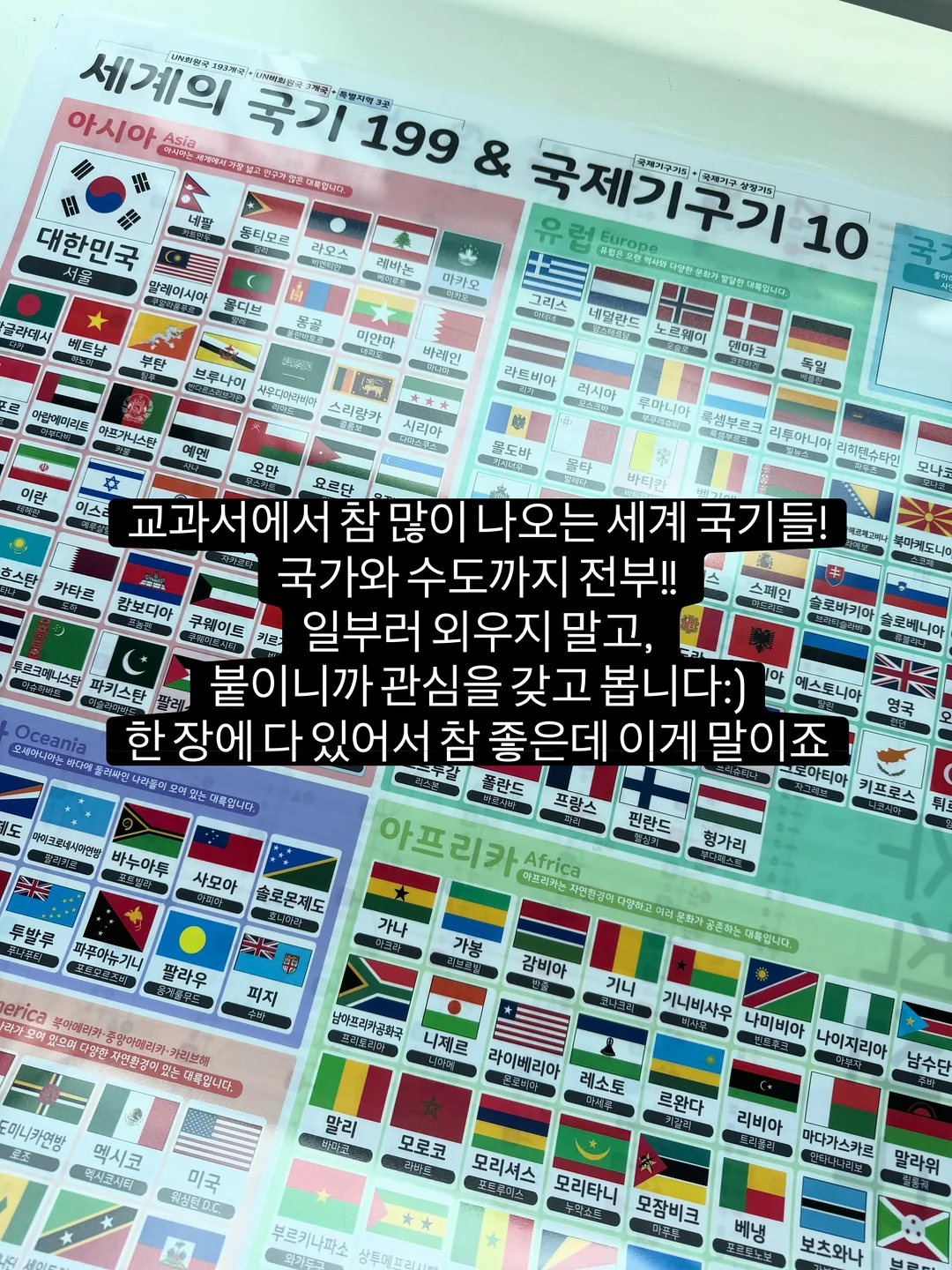 수박 커터기 10